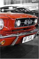 80CM 120 OBRAZ KLASYCZNY MUSTANG ŚCIENNY