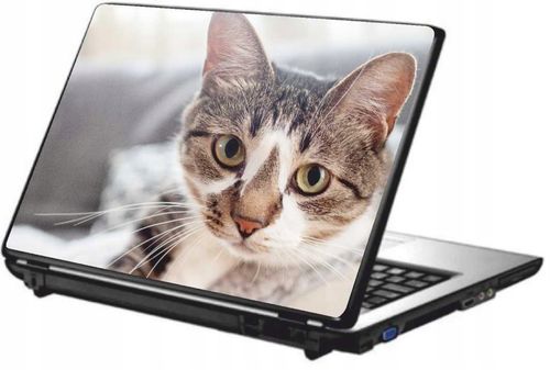 SKIN naklejka naklejki na LAPTOPA skórka okleina na Arena.pl