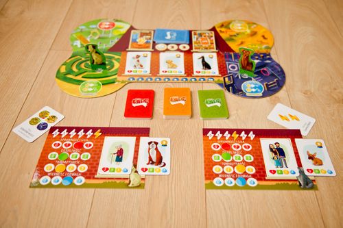 Gra Podaj Łapę na Arena.pl