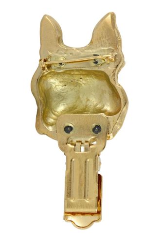 Boston Terier - klips - 1017 na Arena.pl