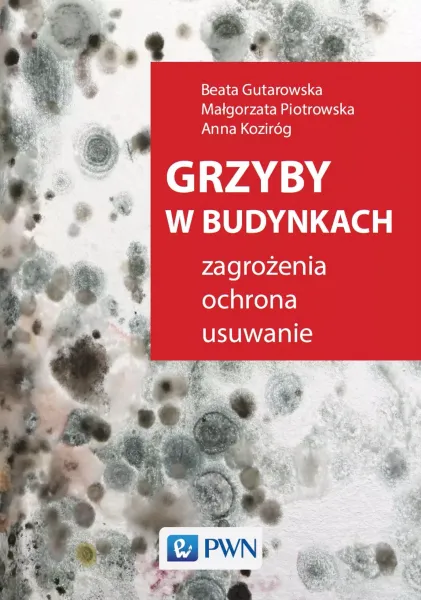 Grzyby w budynkach zdjęcie 1
