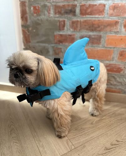 KAPOK KAMIZELKA RATUNKOWA DLA PSA do Wody Rekin S Ubranko do Pływania Fazoo na Arena.pl