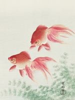 Plakat 30x40cm Two Veil Goldfish, Koson Japoński Vintage do Salonu
