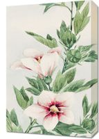 Obraz 40x60cm Hibiscus, Morikaga Japoński Vintage do Salonu