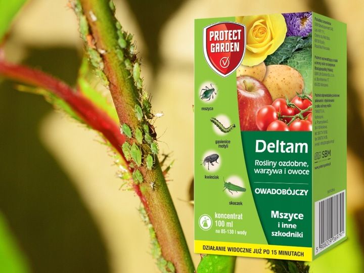 DELTAM ŚRODEK OWADOBÓJCZY MSZYCA KWIECIAK SKOCZEK GĄSIENICE MOTYLI 100ML zdjęcie 7