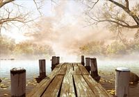 Fototapeta 3D widok most las we mgle 200x130 FL