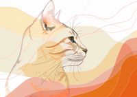 Plakat 84x59,5cm Delikatny Profil Kota