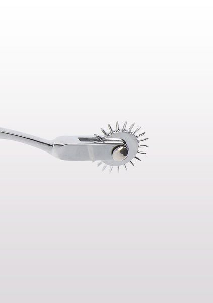 Warterberg Wheel Silver zdjęcie 3