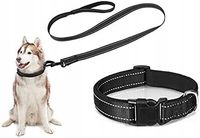Obroża dla psa z smyczy 2w1 regulowana 120 cm – odblaskowa, lekka