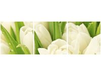 90X30CM DELIKATNE TULIPANY TRÓJ OBRAZ