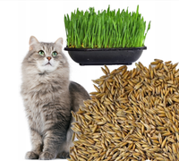 Nasiona 25g trawy dla KOTA do własnej produkcji