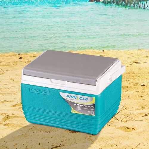 Lodówka turystyczna, pojemnik termiczny na żywność Pinnacle TPX 6006 4,5L na Arena.pl