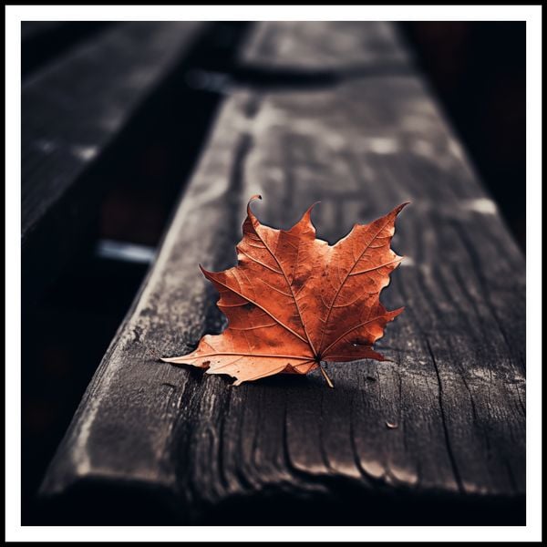 Plakat 100x100cm Pojedynczy Liść zdjęcie 3