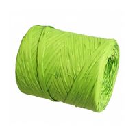 rafia jasno zielona 200m | 119000 - 1/200 33-00-00