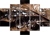 105CM 150CM OBRAZ 5 ELEM WCZESNA JESIEŃ JENNY DOWNING DRUK