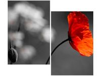 80X70CM SAMOTNY MAK JENNY DOWNING DUO OBRAZ