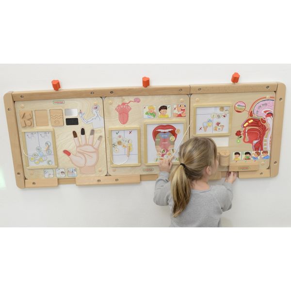 MASTERKIDZ Tablica Edukacyjna Zmysł Wzroku zdjęcie 5