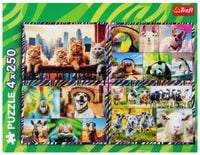 product-compare-64121007