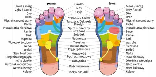SKARPETY ELEKTRODY ELEKTROSTYMULATOR-MASAŻER na Arena.pl