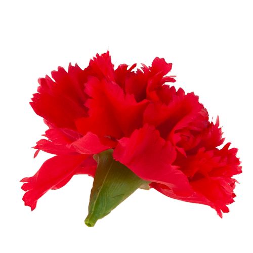 Goździk Wyrobowy Główka Sztuczne Kwiaty Jak Żywe Do Stroików Czerwony na Arena.pl