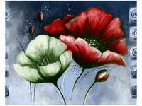 product-compare-58652894