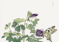 Plakat 84x59,5cm Motyl z Kwiatem Morimoto Toko Japoński Vintage do Salonu