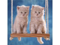 MALARSTWO DIAMENTOWE KOTKI NA HUŚTAWCE