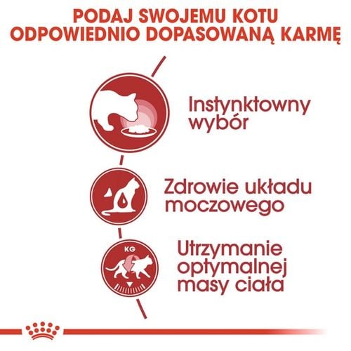 Karma dla wybrednych kotów dorosłych - Royal Canin Plasterki w sosie 85g na Arena.pl