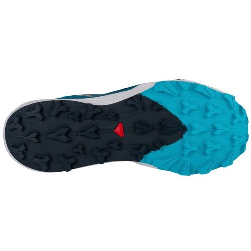 Buty Salomon Thundercross 474642 r.46 na Arena.pl