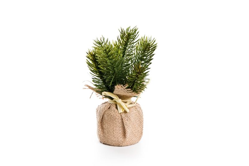 drzewko choinka w worku jutowym 19cm zdjęcie 1
