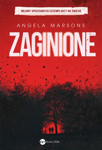 Zaginione zdjęcie 1