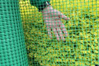 Plastikowa Budowlana 1,5x25m Siatka Rabatowa Ogrodzeniowa Dla Kur Drobiu