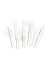 Naturalne Gałązki Z Tarniny Na Wielki Post – Pakiet 6 Szt.