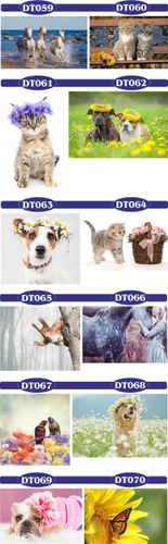 fototapety FOTOTAPETA 3d dekoracyjna koń unicorn na Arena.pl