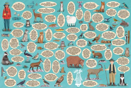 ND01_248074 Rok w gorach 41958 na Arena.pl