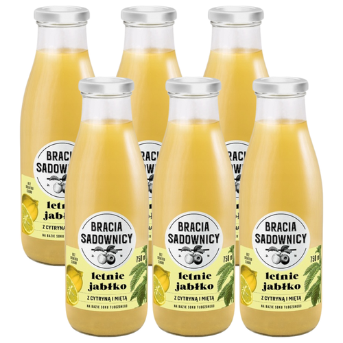 Bracia Sadownicy Lemoniada letnie jabłko z cytryną i miętą 750 ml x 6 sztuk na Arena.pl