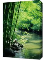 product-compare-59470252