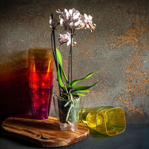 DONICZKA DONICA OSŁONKA NA STORCZYK KOLORY 12cm na Arena.pl