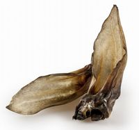 Balto Ucho Sarny 5Szt