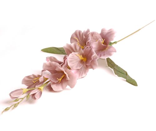 Mieczyk z listkami szary na Arena.pl