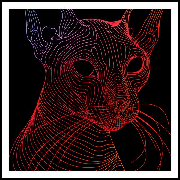 Plakat 70x70cm Cyfrowa Kocica zdjęcie 3