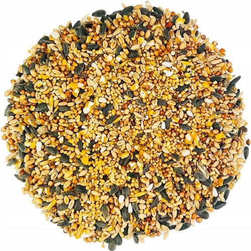 KARMA DLA PTAKÓW 20kg ZE SŁONECZNIK DROBNE ZIARNO DO KARMNIK + PLAKAT na Arena.pl