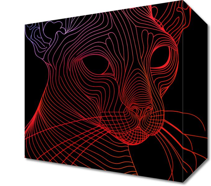 Obraz 20x20cm Cyfrowa Kocica zdjęcie 1