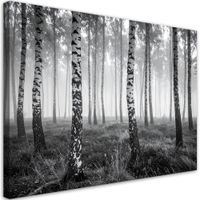 Obraz do salonu sypialni kuchni biura, Las brzozowy mgła czarno