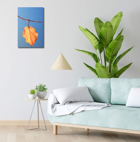 Obraz 30x50cm Ostatni Liść zdjęcie 2