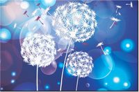 product-compare-58712426