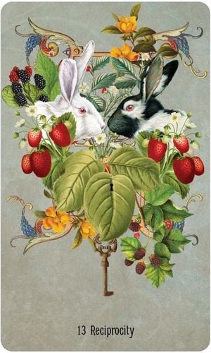 Unlocking the Secret Garden Oracle SCG44 na Arena.pl