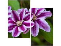 60X60CM KWIATY AZALII DWU OBRAZ ŚCIAN