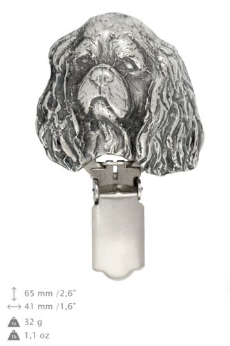 Cavalier King Charles Spaniel - klips - 2548 na Arena.pl