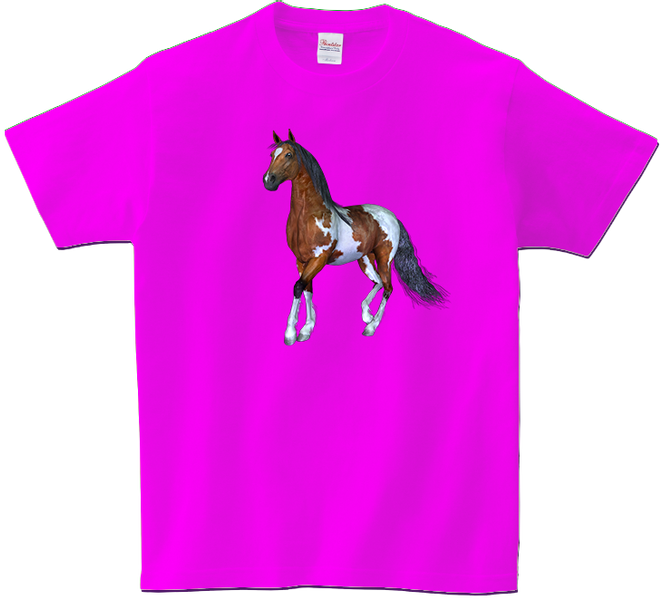 Koszulka T-shirt Konie zdjęcie 1